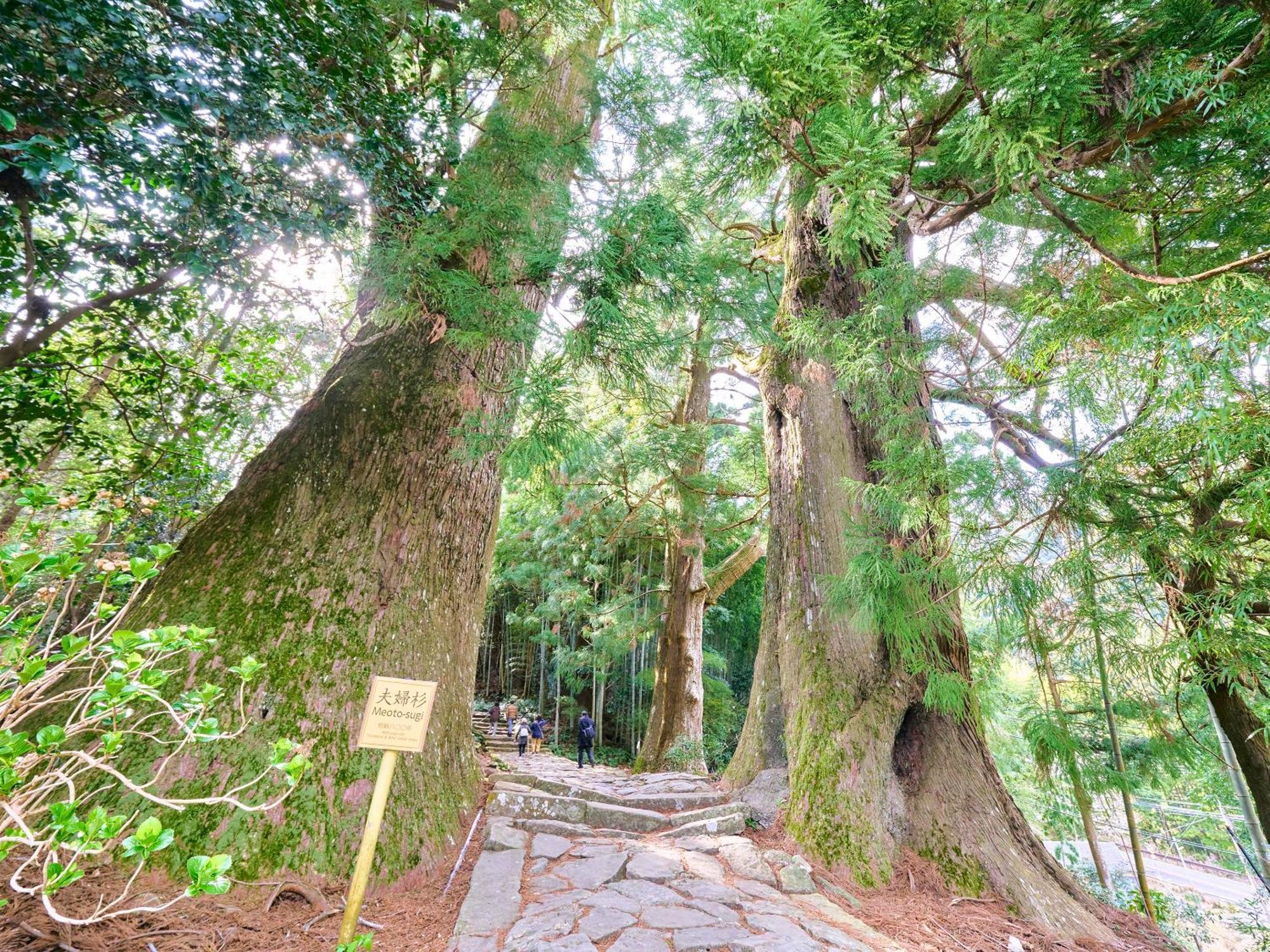 Kokoyui Guest House Nachikatsuura Bagian luar foto